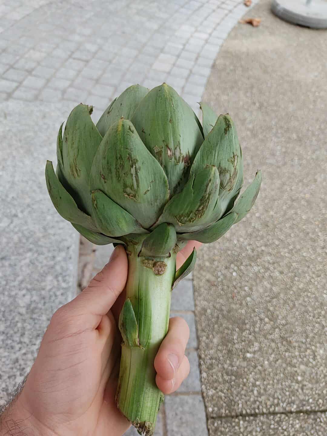 Description image 1-10