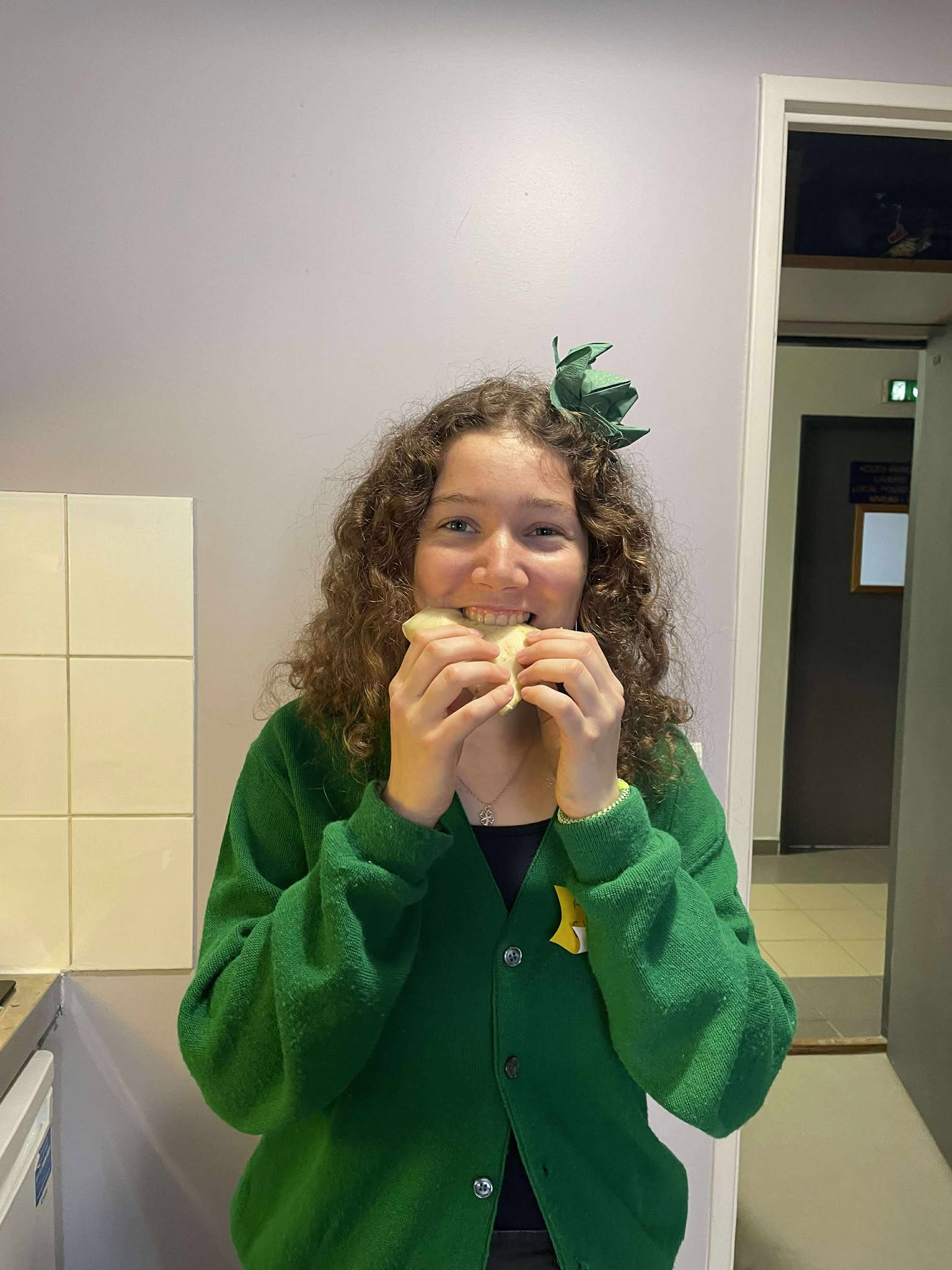 Description image 1-3