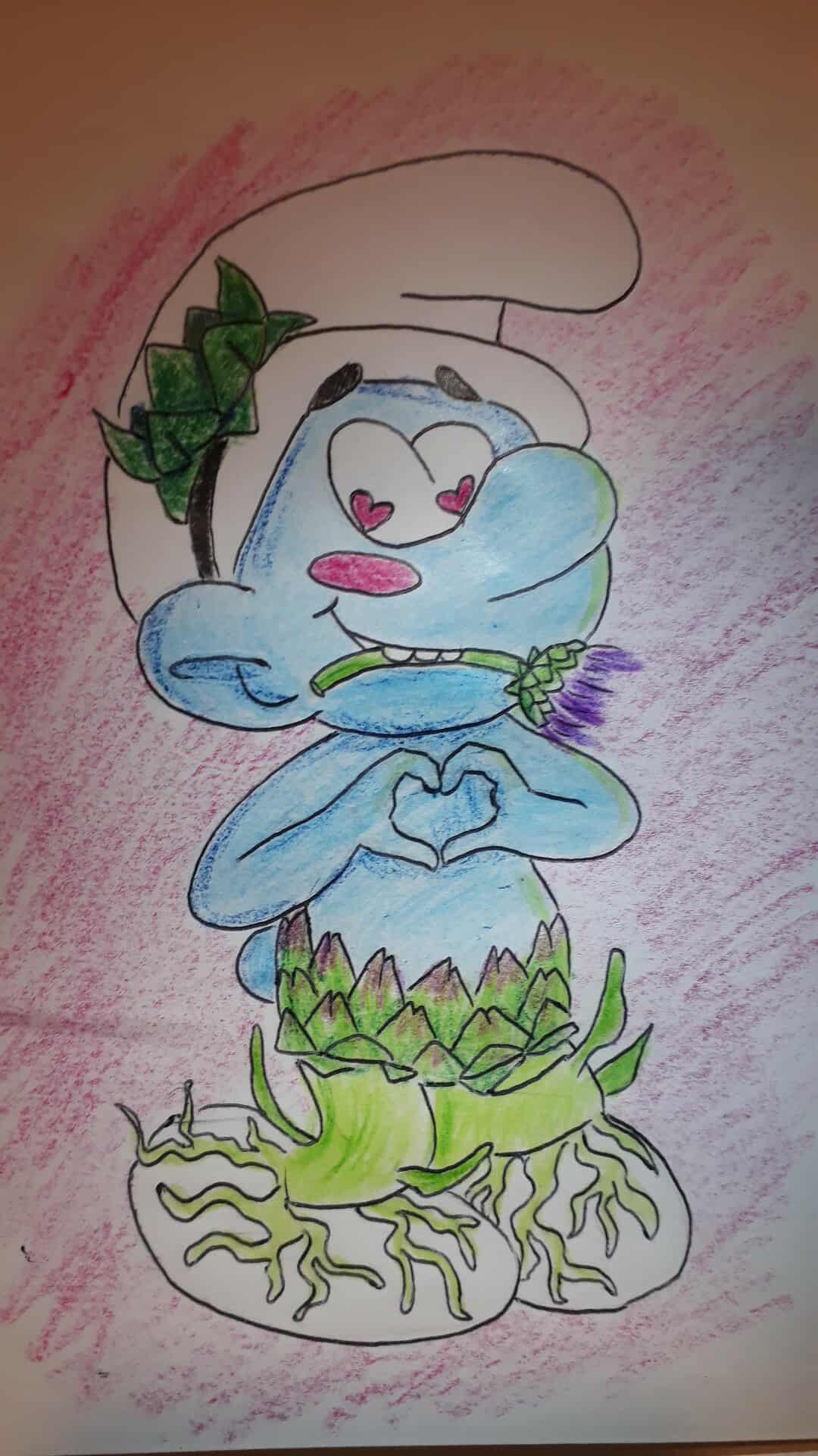 Description image 1-4